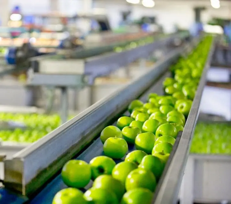 food conveyor belt by rainbow rubber & plastics